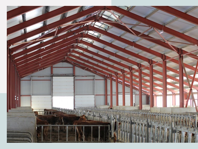 Строительство коровников в Касимове