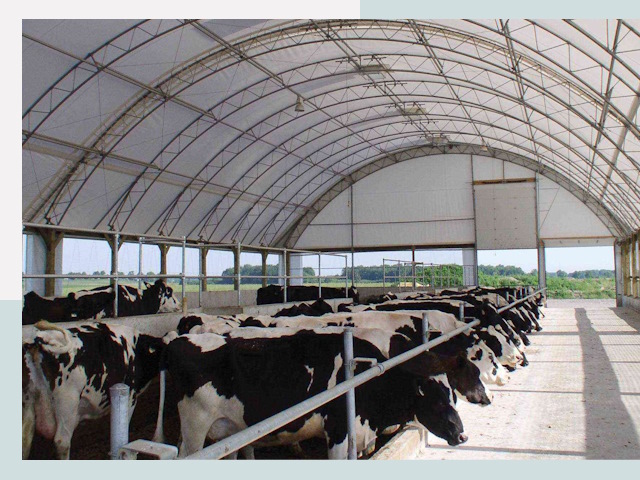 Тентовые коровники в Касимове